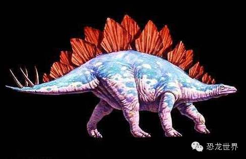 手工折纸侏罗纪大型食草动物剑龙,剑龙是食草恐龙还是食肉恐龙