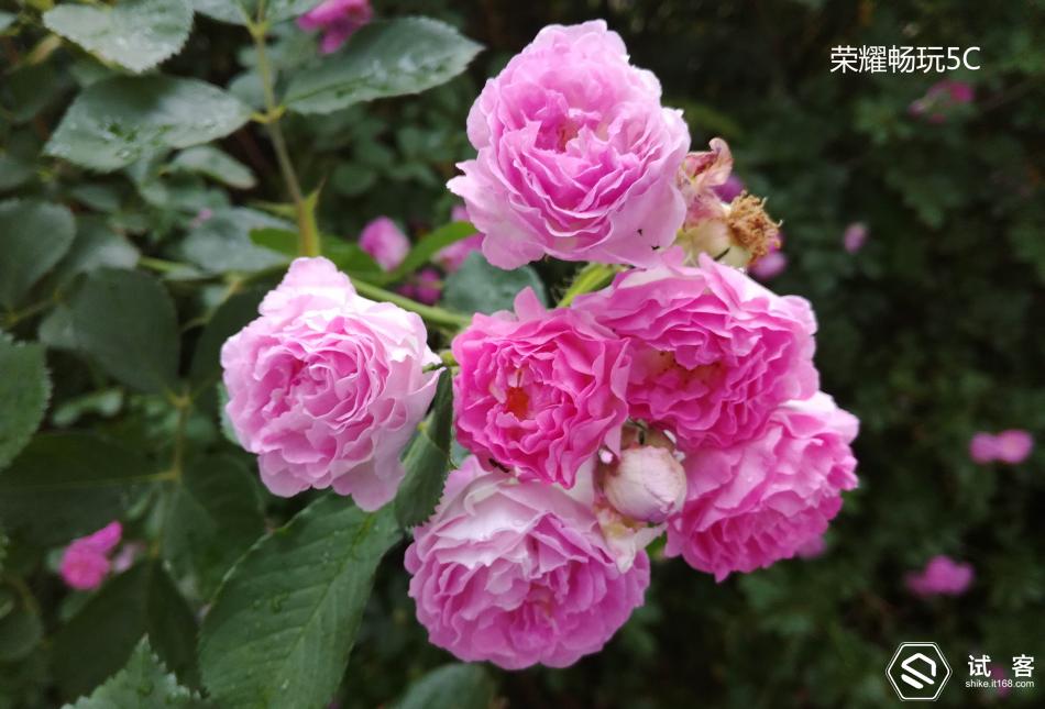 魅蓝3测评,魅蓝3s深度测评