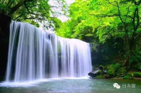 日本走马观花一日游,走马观花日本旅游