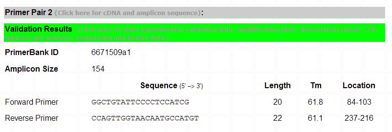 pcr引物设计软件优缺点,idt的在线引物设计工具