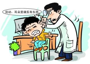 小蚂蚁变成蚁后生宝宝的过程,蚂蚁变蚁后