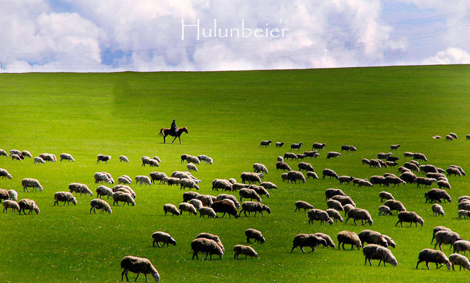 呼伦贝尔拍照攻略,呼伦贝尔美景拍照