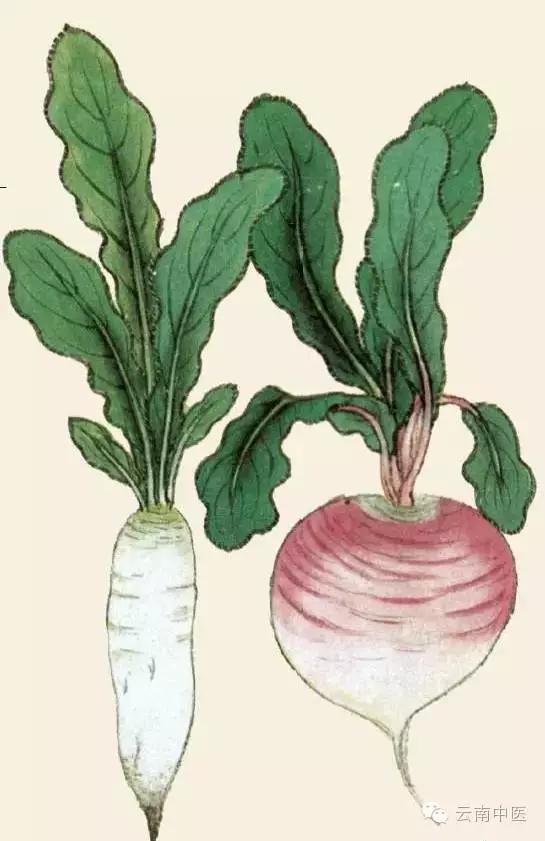 孩子常用消食药,四种消食药