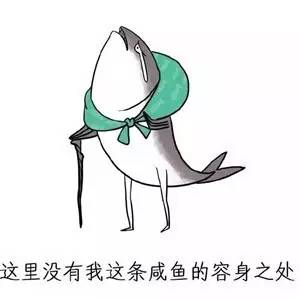 太美的承诺因为太年轻？不年轻啦！猴年马月本周日就到！