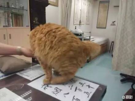 看魔兽影片,看魔兽应该知道的事