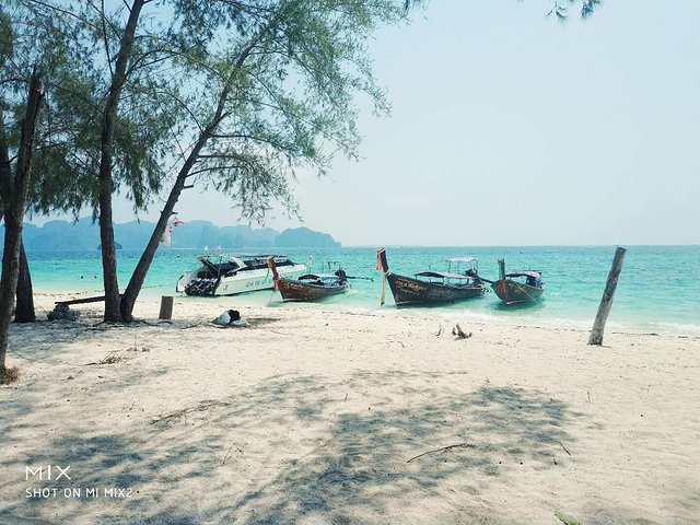 甯︾潃鐗涢瓟鐜嬬湅鏄熸槦,甯︾潃鐗涢瓟鐜嬪嚭鏉ョ湅涓婂笣