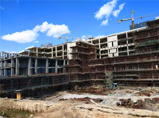 内蒙古三大巨头集团,内蒙百亿集团