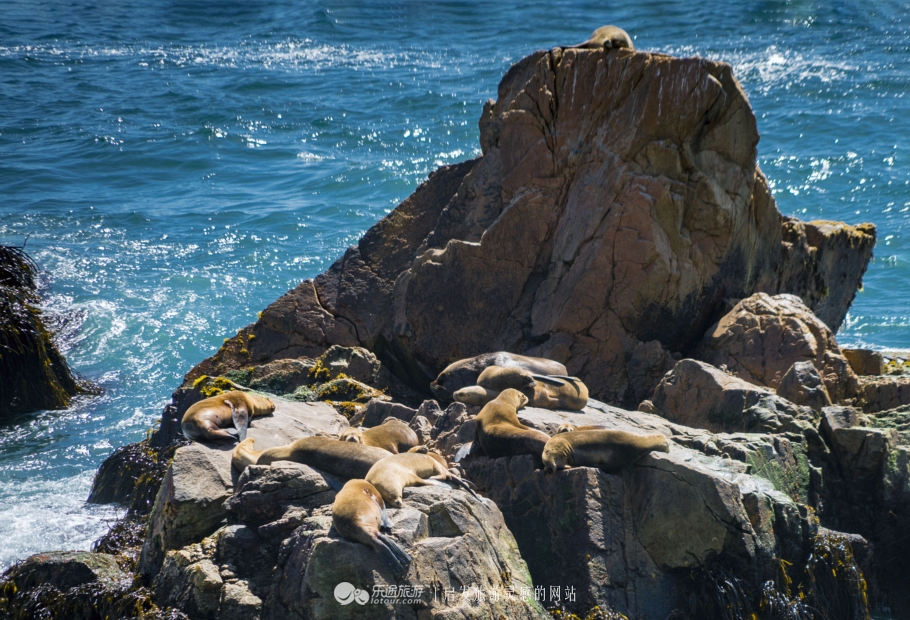 世界上换了人种的国家,世界上以汉族为主体的国家