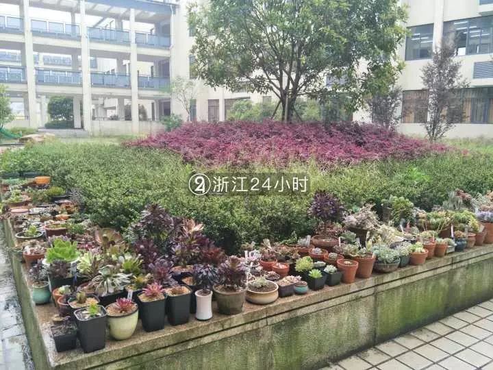 校长都说羡慕他！杭州男子默默为全校拍下数千张照片，真相暖爆