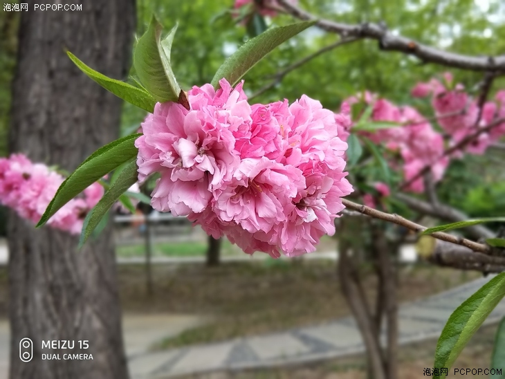 魅族15全面体验评测,魅族15对比魅族m15