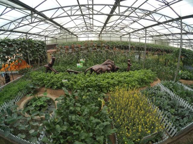 带上小蚁运动相机游潍坊（三）寿光菜博会