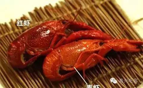 小龙虾劲爆来袭,又到了小龙虾嗨吃的季节