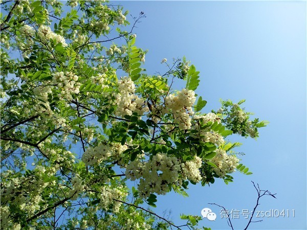 大连小众海边滨海路,大连最美海滨路在哪