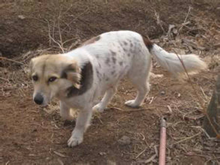 月白月明：满仓和他的女人