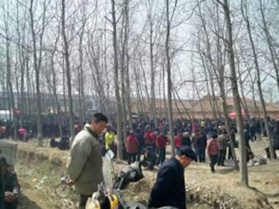 月白风清春华秋实,满仓和静梅爱情