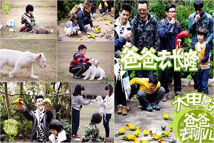 郑州即将开业的野生动物园,郑州长隆野生动物园