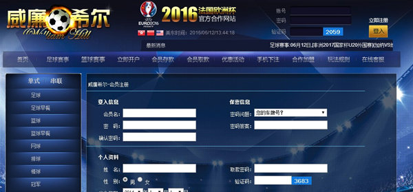 欧洲杯带来的经济效益分析,你不知道的十大商机