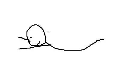 后背肉太多怎么造成的,后背肉太多怎么减肥最快