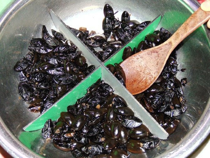 梧州的特色美食有什么,梧州美食都有什么