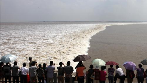 韶关东站最新火车明细,最新韶关东站至佛山站车次