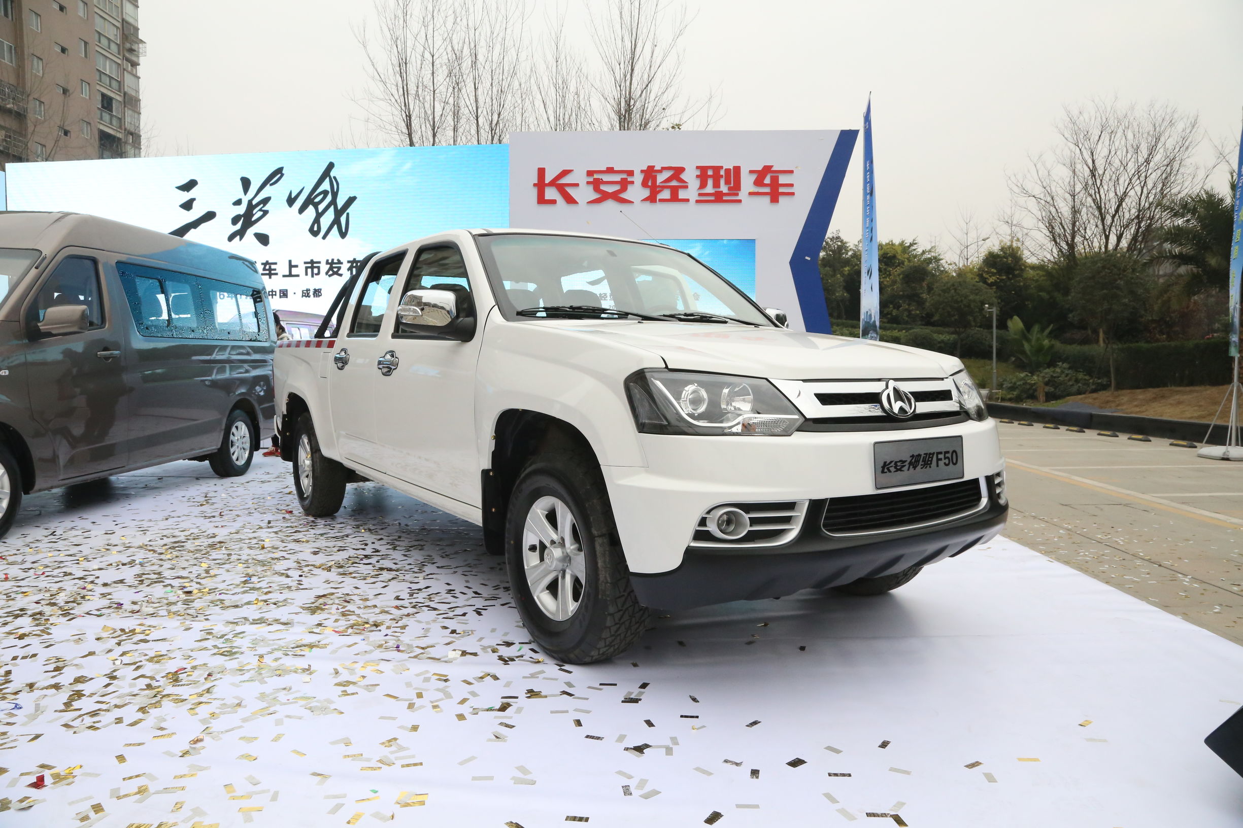 长安神骐最新款柴油版多少钱一辆,生了双胞胎儿子第一天