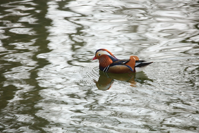 腾龙超长焦,腾龙超长焦镜头推荐