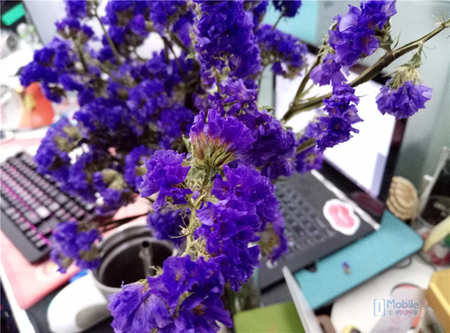 魅蓝3s是最好的一款吗,魅蓝3s全新