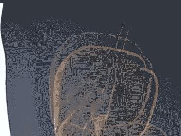 武汉光谷观光,武汉光谷值得去吗