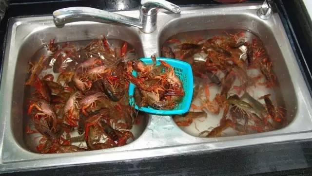 怎么样吃小龙虾才不过敏,怎样吃小龙虾最安全