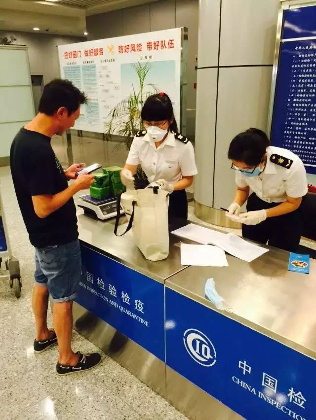 粽子邮寄需要冰冻吗,粽子邮寄怎么保持新鲜