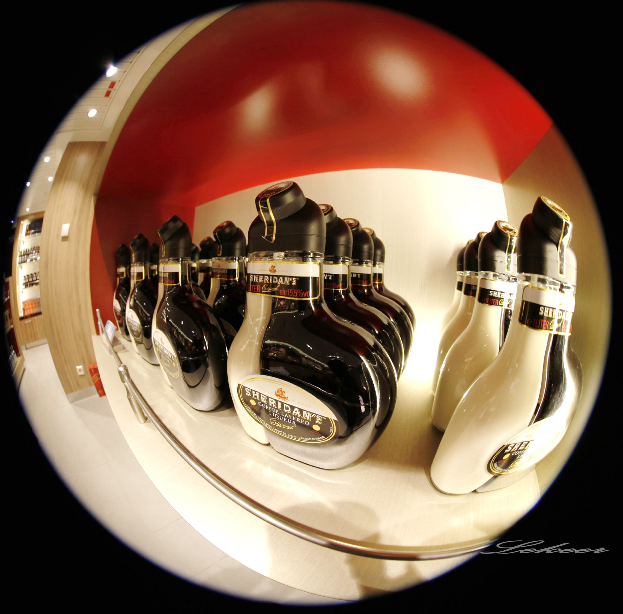 海洋量子号游记,如何乘坐海洋量子号