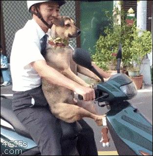 各版本凌波微步,凌波微步原来这么厉害