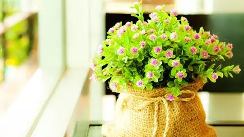 所有的数学公式小学,整个小学里面的数学公式要背哪些