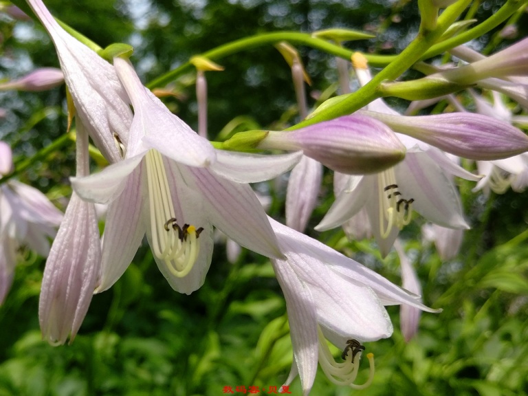 一加3实用功能,一加3手机用后体验