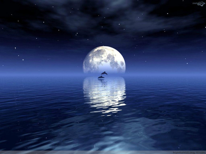 php璇诲彇oracle涔辩爜,瀹岀編瑙e喅鎶ラ敊53