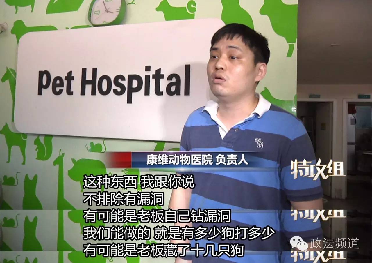 把狗买回家结果有病,购买宠物狗几天就死亡