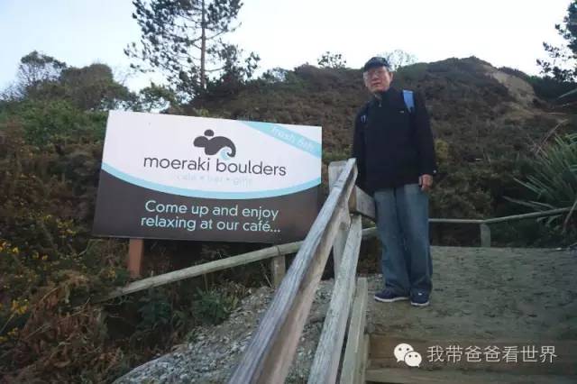 新西兰南岛摩拉基大圆石,新西兰摩拉基大圆石视频