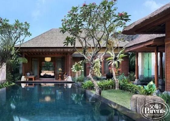 亲子游巴厘岛旅游攻略,去巴厘岛旅游攻略亲子游