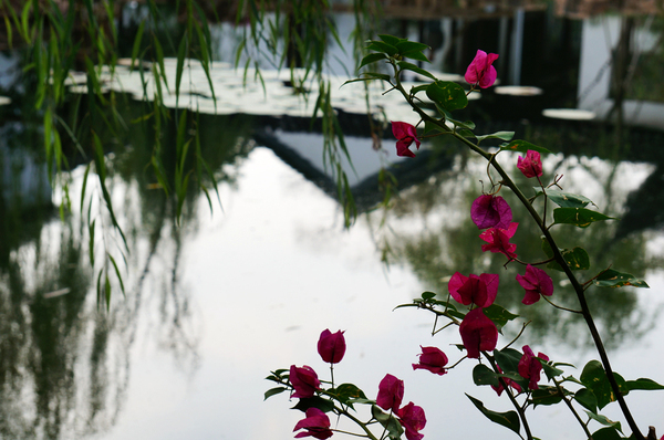 民国第一家报社是在哪开办的,民国时期的苏州报纸