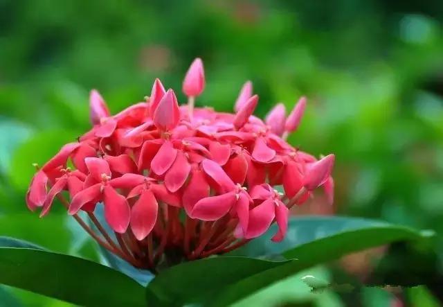 海口一座不需要滤镜的城市,海口一线海景