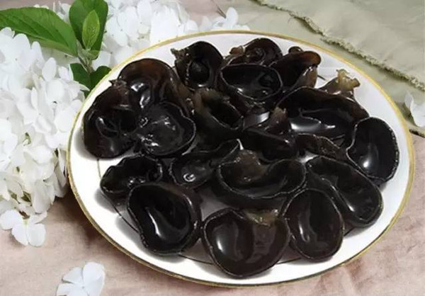 真假木耳形状,真假木耳丝