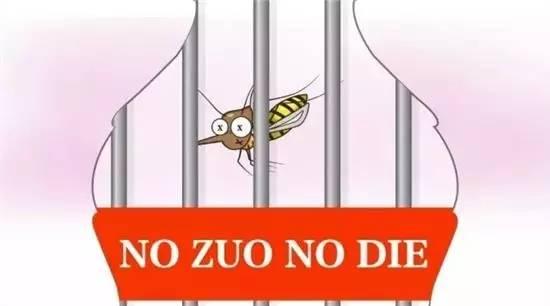 驱蚊产品测试100只蚊子,买什么驱蚊灭蚊最有效