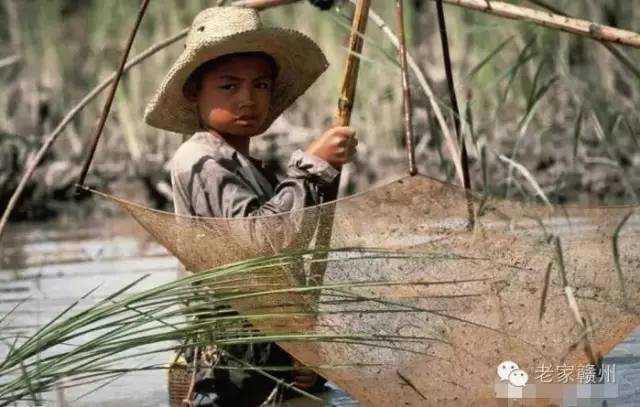 客家人捕鱼的视频,客家传统打鱼视频