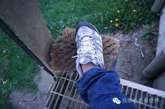 新西兰南岛摩拉基大圆石,新西兰摩拉基大圆石视频