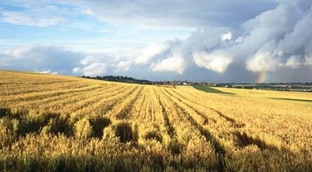 农业调转启示录(三)|安全,给他健康,给你财富