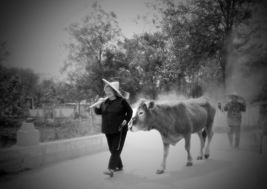 摄影美学开篇感悟,摄影捕捉美好瞬间经典