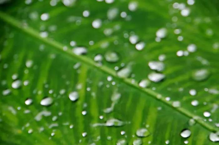 巴马世界旅居圣地,广西巴马长寿圣殿图片