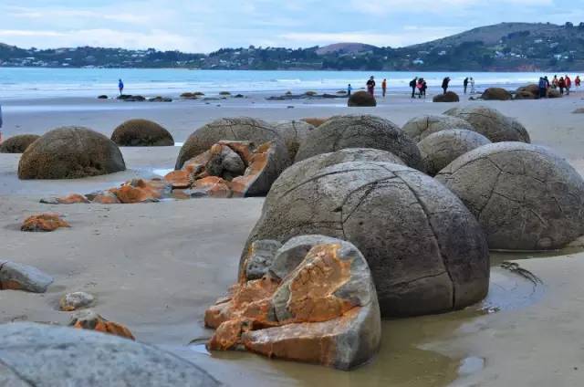 新西兰奇异圆石,摩拉基大圆石龟背形成原因