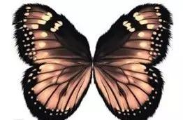 龙卷风风向怎么预测,为什么龙卷风有压力