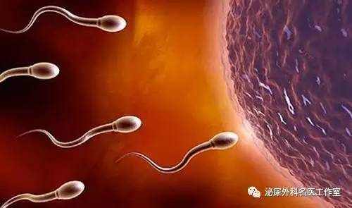 陈亮治疗不孕不育,北大医院陈亮怎么样